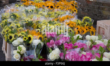 Colorful market stall of flowers Stock Photo