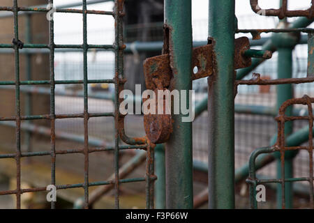 Rusty padlock on an old green rusting metal gate Stock Photo