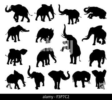 A set of elephant animal silhouettes in various poses Stock Photo