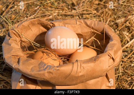 rustic chicken eggs are packed in bag close-up Stock Photo