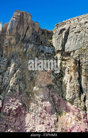 Summer view from aerial tram of famous ski run; Corbet's Couloir; at the top of Jackson Hole Mountain Resort; Wyoming; USA Stock Photo