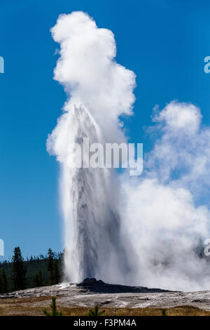 Old Faithful Geyser in Yellowstone National Park is one of the most ...