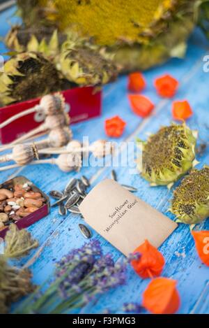 Saving garden seeds in home made envelopes and vintage containers. Stock Photo