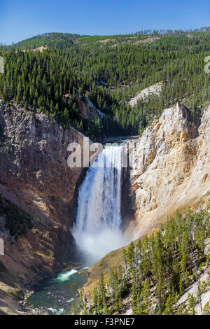 Yellowstone River; Lower Falls (308'); Yellowstone National Park; Wyoming; USA Stock Photo