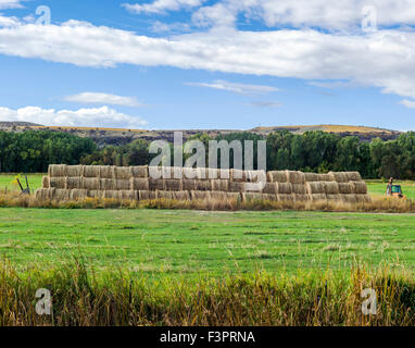 Rolled bales of hay east of Craig, Colorado, USA Stock Photo