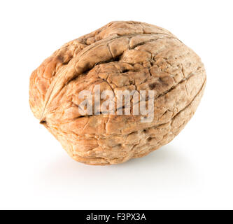 walnut isolated on the white background. Stock Photo