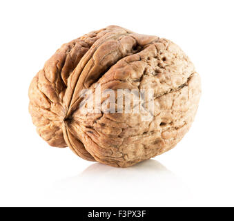walnut isolated on the white background. Stock Photo
