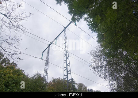 Power lines against the sky through forest, Stockholm, Sweden in October. Stock Photo