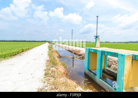 Water canal for paddy rice field irrigation with blue skies Stock Photo