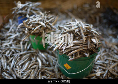 Open-air fish market at the Lake Malawi, Malawi, Africa Stock Photo