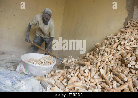 Workers produce cassava, Burundi, Africa Stock Photo