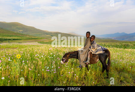 Basotho boys, Lesotho, Africa Stock Photo