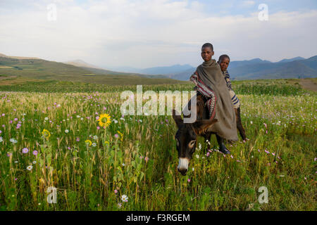 Basotho boys, Lesotho, Africa Stock Photo