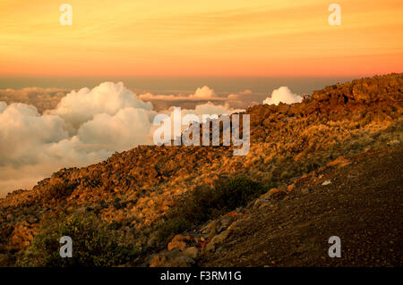 Haleakala National Park. Views from the viewpoint of Leleiwi. Maui. Hawaii. The Haleakala National Park ranges through five dist Stock Photo