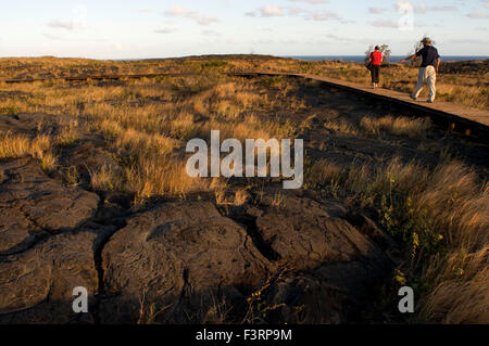 Pu'u Loa Petroglyphs. Hawai'i Volcanoes National Park. Big Island. Hawaii. Pu`u Loa, translated as the 'long hill'i or 'Hill-(of Stock Photo