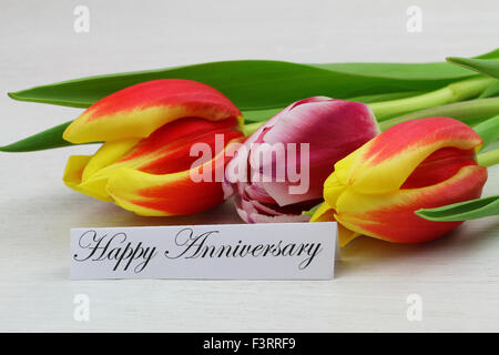 Happy Anniversary card with colorful tulips Stock Photo