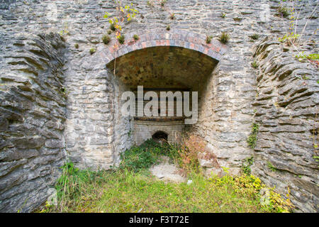 Vaulted tunnel and draw hole of a Knowle Quarry lime kiln on Wenlock Edge, Shropshire. Stock Photo