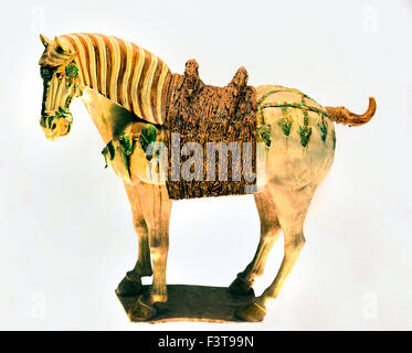 Polychrome Glazed Pottery Horse 618 - 907 AD Tang Han Dynasty ( Shanghai Museum of ancient Chinese art ) China Stock Photo