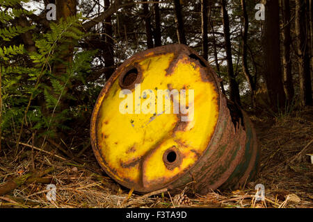 A rusty oil barrel, dumped in a forest Stock Photo