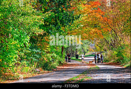 People spending a pleasant autumn Sunday on the hiking trail under fall colors in Etienne Brulé Park in Etobicoke, Toronto, Cana Stock Photo