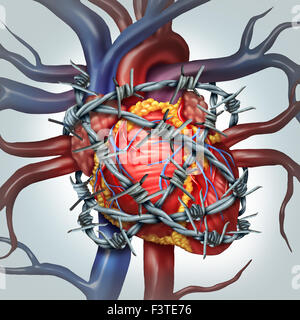 Heart pain medical health care concept as a human cardiovascular organ wrapped in sharp barbed wire as a metaphor for coronary problems and health decline in blood circulation. Stock Photo
