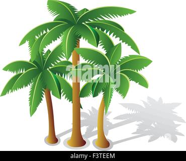 Vector image of an palm tropical tree icon on white background. logo ...