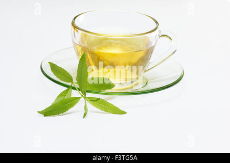 Herbal tea on white background Stock Photo