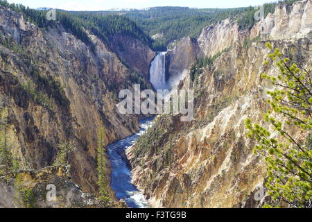 Yellowstone Grand Canyon Lower Falls as seen from Artist's Point in September 2015 Stock Photo