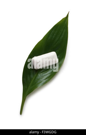 chewing gum on a green leaf Stock Photo