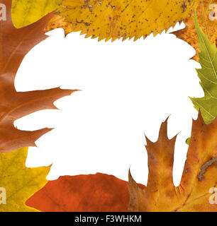 Autumn leafs frame Stock Photo