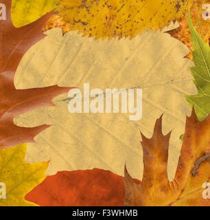 Autumn leafs frame Stock Photo