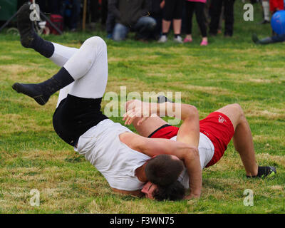 Cumberland and Westmorland Wrestling competition at the Alwinton Borders Shepherds Show Stock Photo