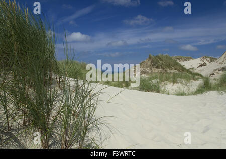 Dune Stock Photo