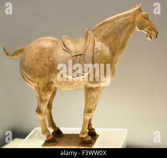 Polychrome glazed pottery Horse 618 - 907 AD Tang Han Dynasty ( Shanghai Museum of ancient Chinese art ) China Stock Photo