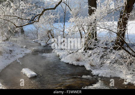 Winter, brook, creek, Stock Photo