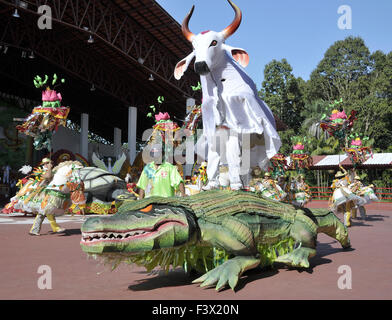 Brazil Amazon Parintins Festival Stock Photo