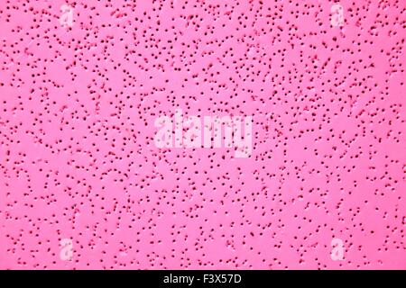 Board with holes Stock Photo