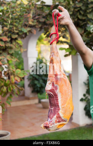 Man holding hammon pork leg in the hand Stock Photo