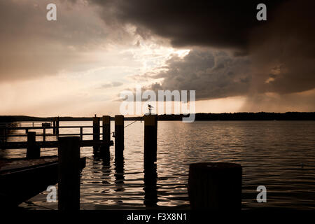 Evening at Werbellinsee Stock Photo