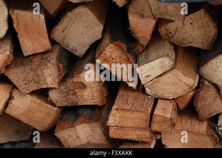 Closeup of stack tree trunks in the background Stock Photo - Alamy