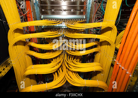 IT server patch panel with cables Stock Photo