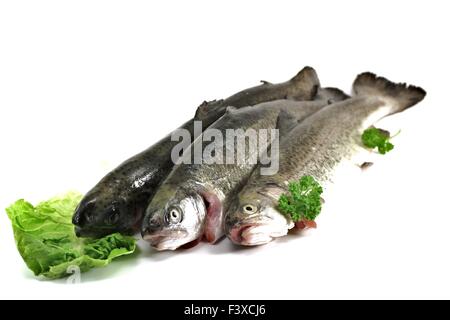 three trout on white background Stock Photo