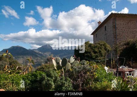 Old finca with prickly pears Stock Photo
