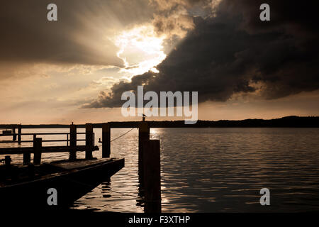 Evening at Werbellinsee Stock Photo