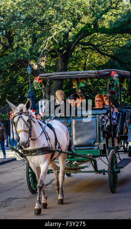 Tourists enjoy a white mule driven carriage ride near Jackson Square in the French Quarter of New Orleans, LA, USA Stock Photo