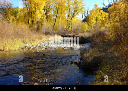 Fall colors on Squaw Creek, Idaho Stock Photo