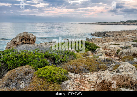Rocky coastline in Cyprus Stock Photo