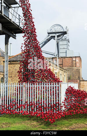 Weeping Window of ceramic poppies on display at Woodhorn museum in Northumberland. Stock Photo