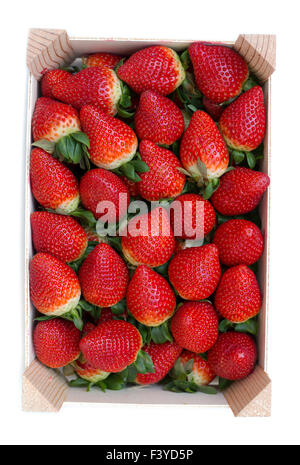 fresh strawberries in a wooden box Stock Photo