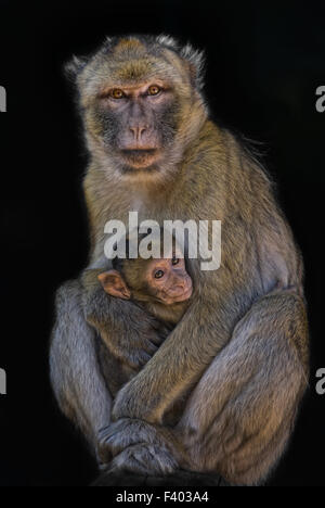 motherly love Stock Photo